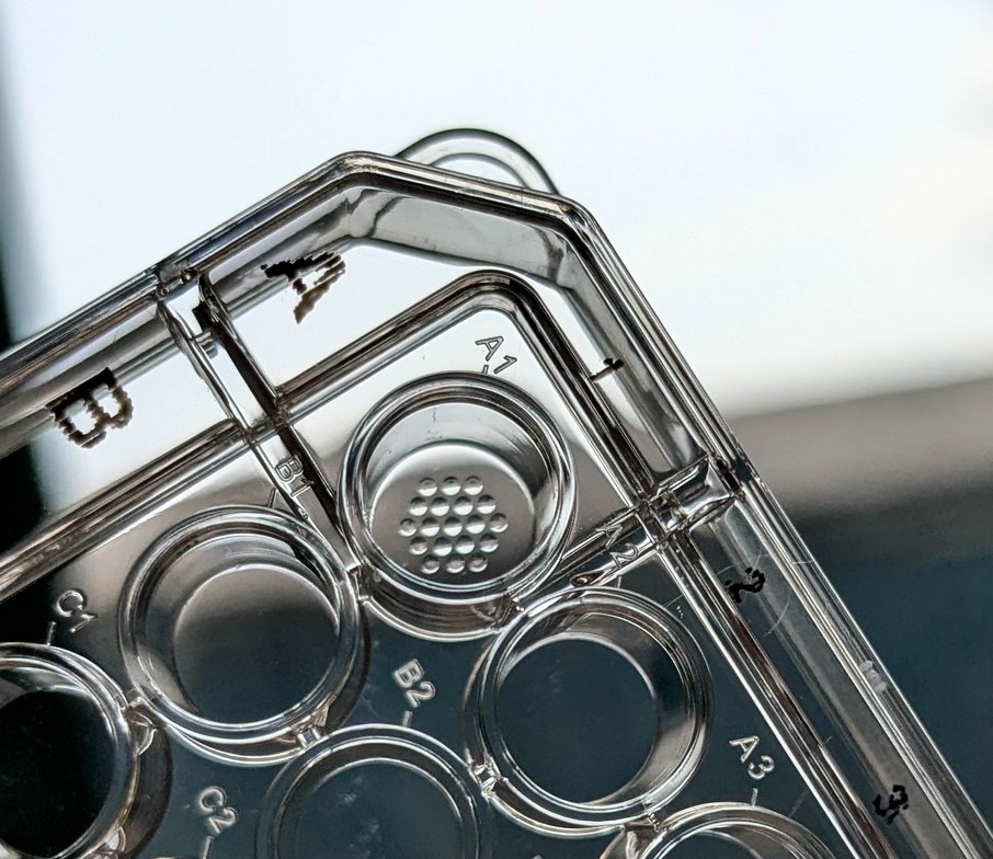 Key Challenges in Microarray Technology | Polypico